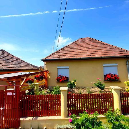 Kata Vendeghaz Apartment Sátoraljaújhely Bagian luar foto